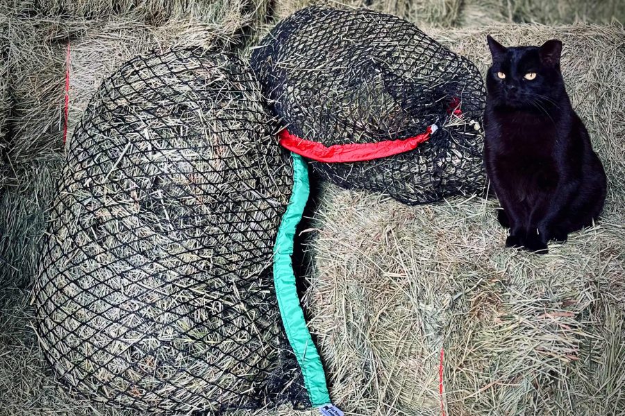The Perfect Hay Net The Perfect Hay Net - knotless slow feed hay net for horses