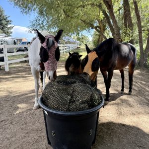 The Muffin Topper full bale slow feeder net mounted in 100 gallon livestock trough