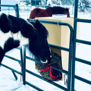 The Perfect Hay Feeder