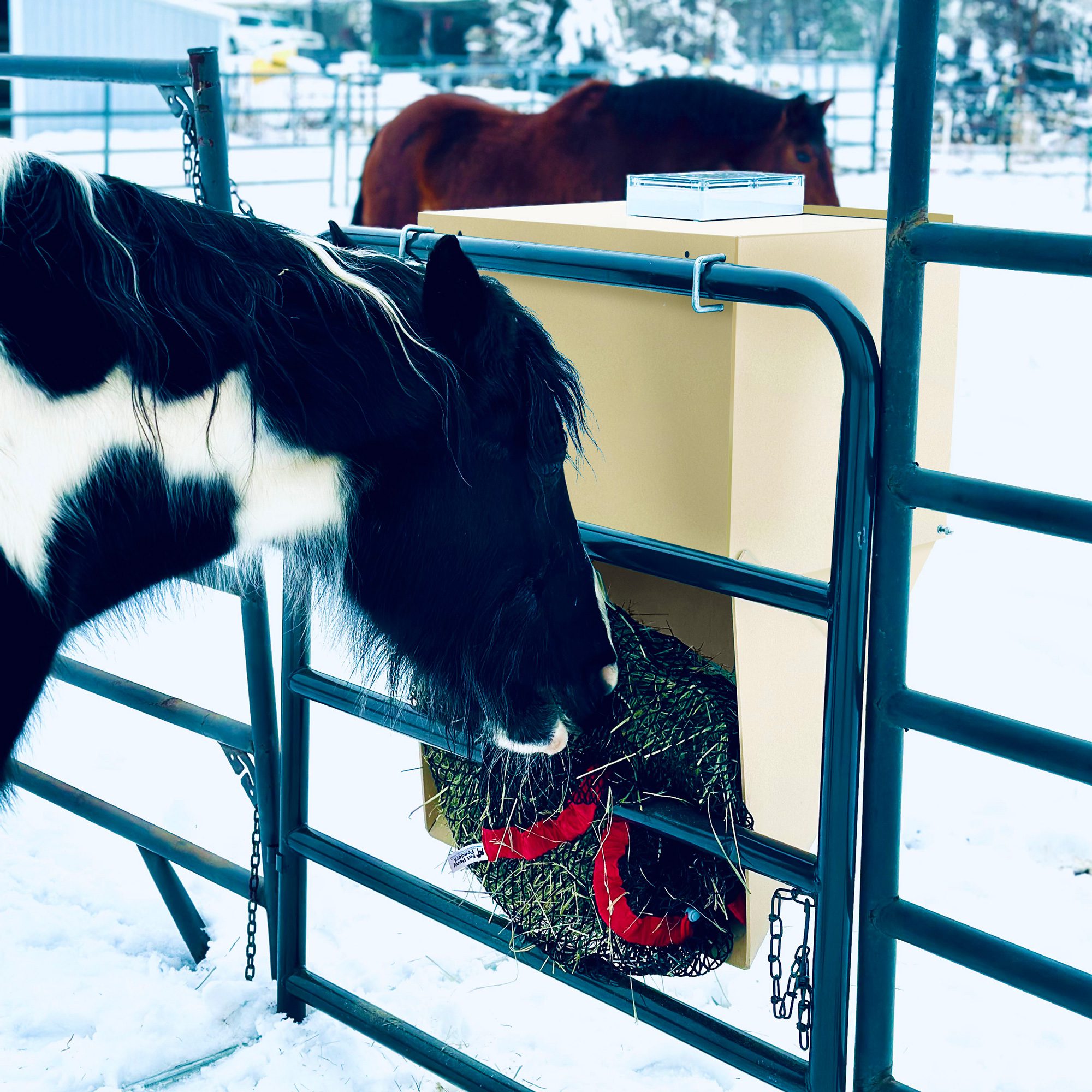 The Perfect Hay Feeder