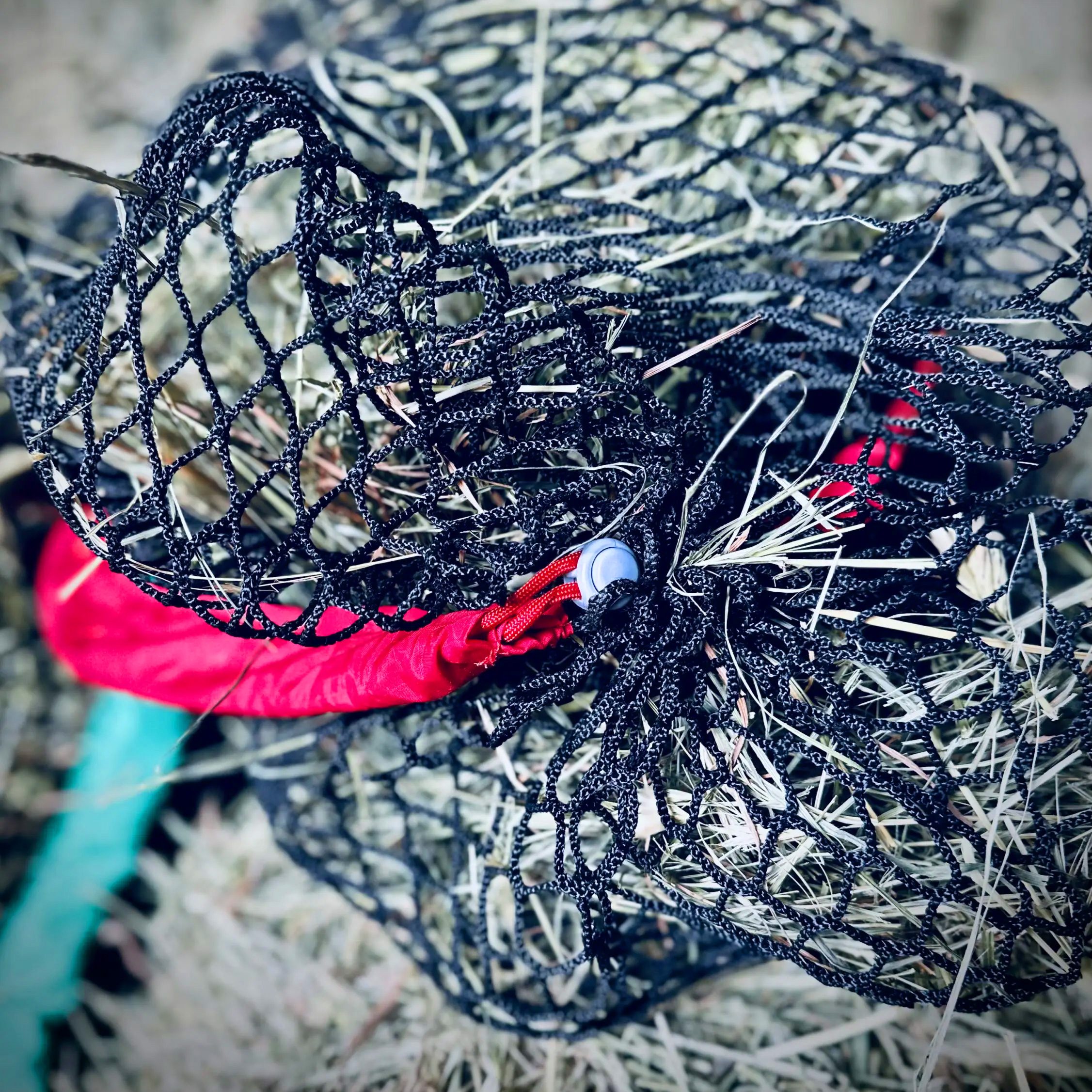 The Perfect Hay Net - Image 8