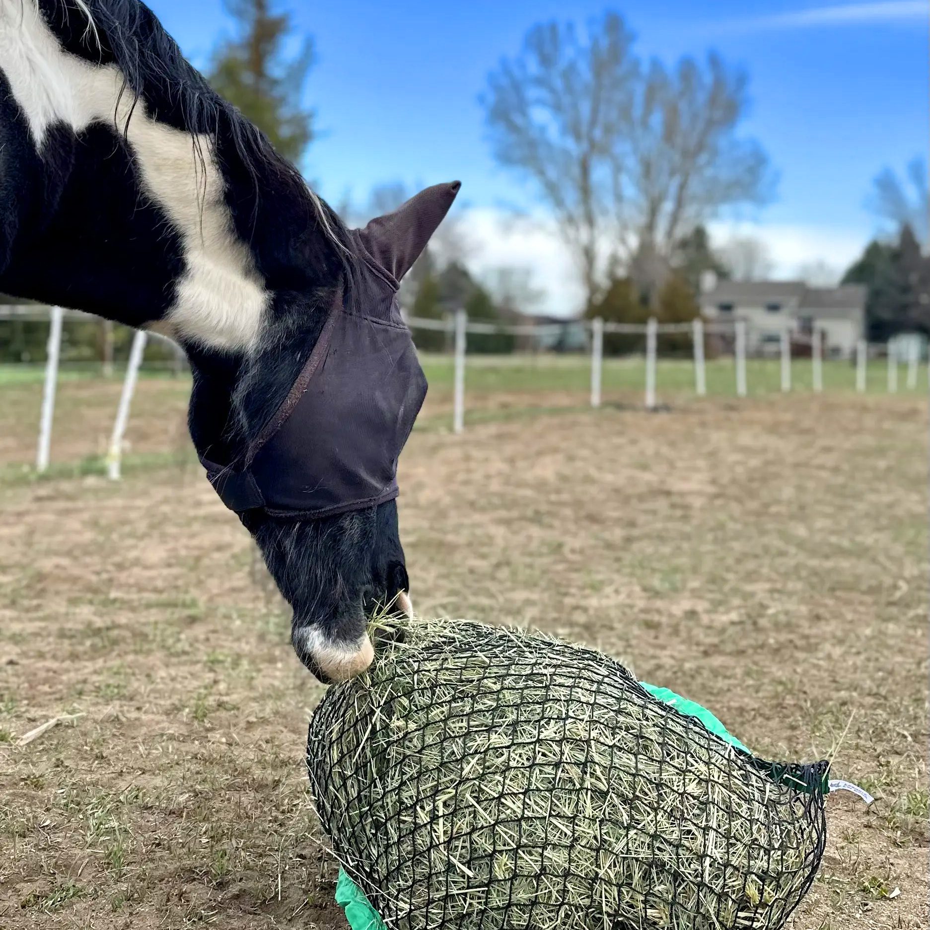 The Perfect Hay Net - Image 10