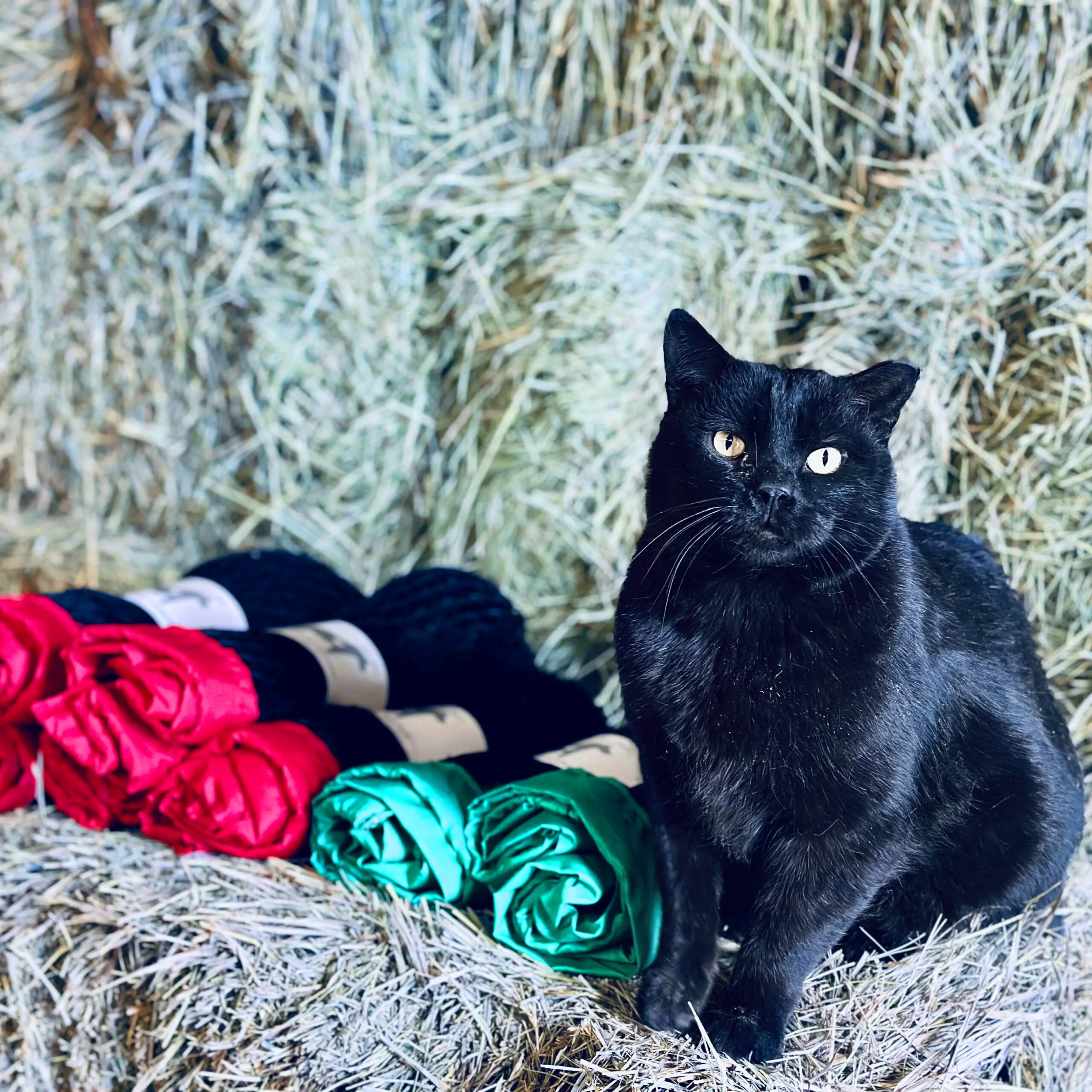 The Perfect Hay Net